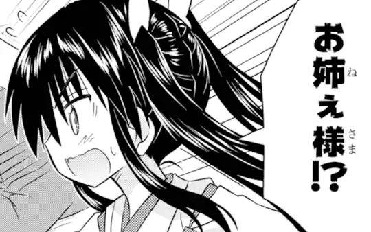 次回更新：11月9日