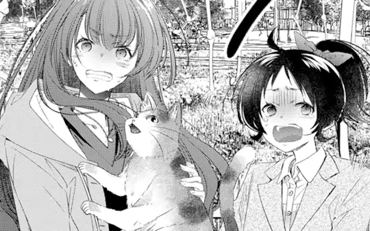 次回更新：4月28日