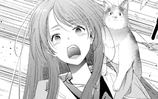 次回更新：未定