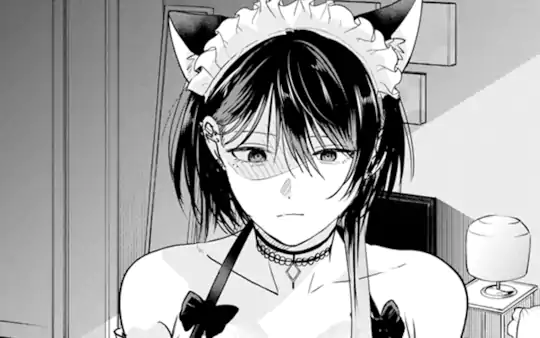 次回更新：2月10日