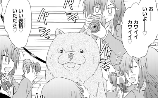次回更新：7月19日