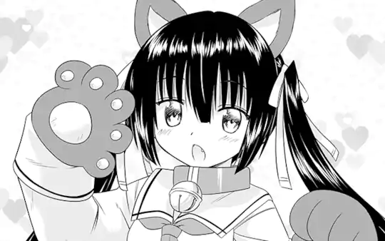 次回更新：5月30日