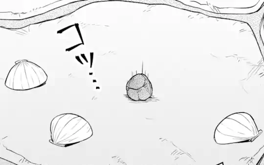 次回更新：12月3日