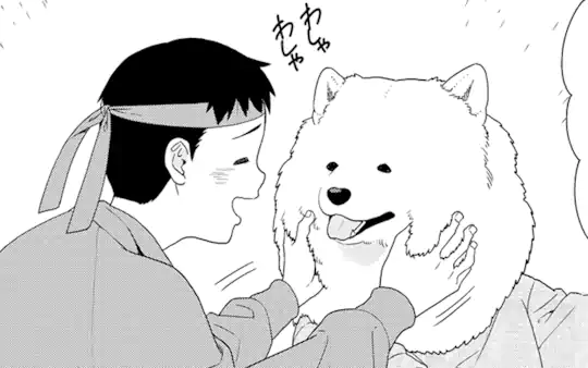 次回更新：10月21日