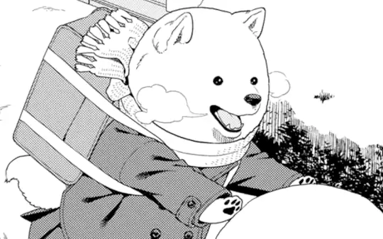 次回更新：12月16日