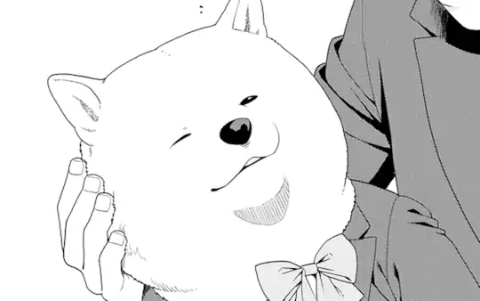 次回更新：1月27日