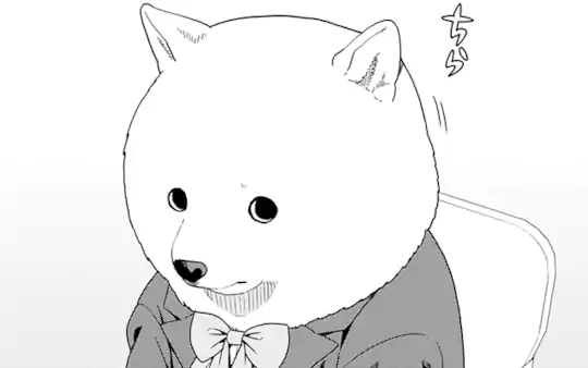 次回更新：1月20日