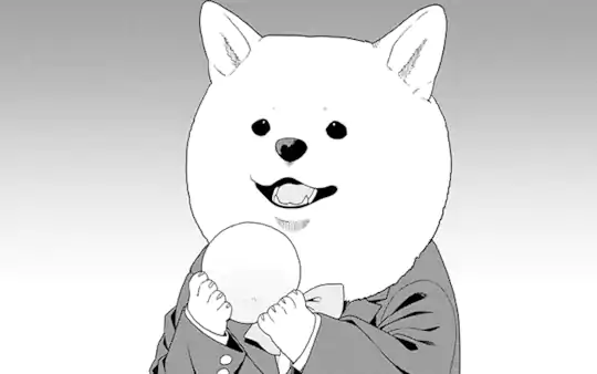 次回更新：3月10日