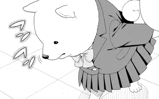 次回更新：4月7日