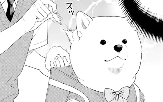 次回更新：4月21日