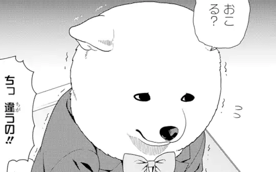 次回更新：10月20日
