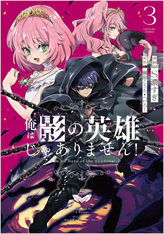 俺は影の英雄じゃありません！