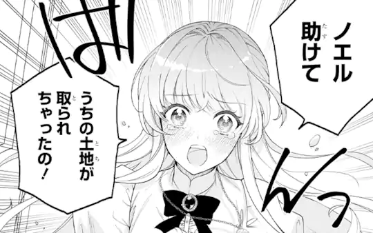 次回更新：2月4日