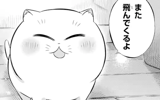 次回更新：1月23日