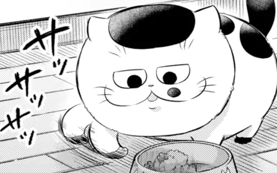 次回更新：3月6日