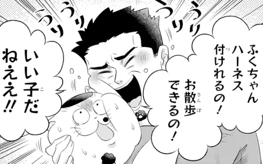 次回更新：4月3日