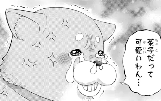 次回更新：4月17日