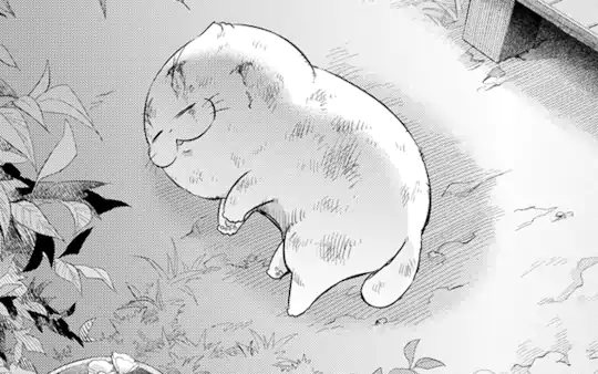 次回更新：7月10日