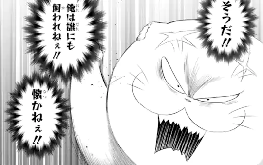 次回更新：10月2日